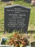 image of grave number 293343